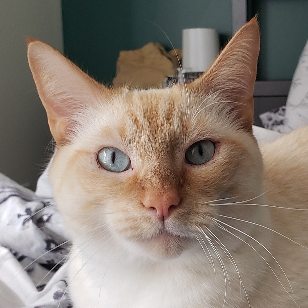 Meet your Posher, Tessa